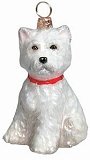 Westie Puppy